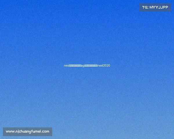 nest全国电子竞技大赛ag王者—全国电子竞技nest2020